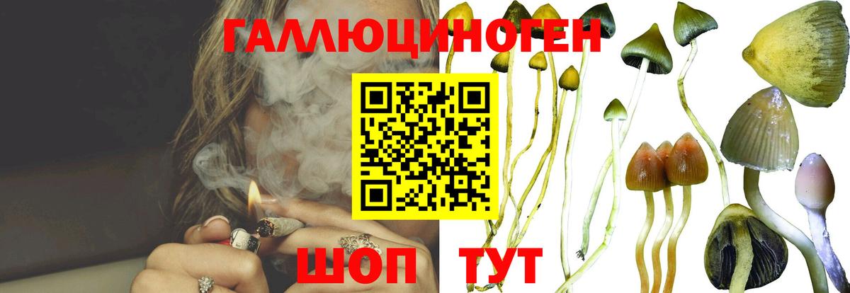 Галлюциногенные грибы Cubensis  Псилоцибиновые грибы GOLDEN TEACHER  Вход с VPN  Коломна 